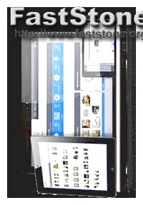 wie funktioniert flexispy